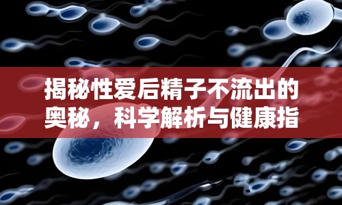 揭秘性愛后精子不流出的奧秘，科學(xué)解析與健康指南