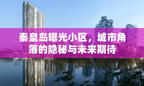 秦皇島曝光小區(qū)，城市角落的隱秘與未來期待