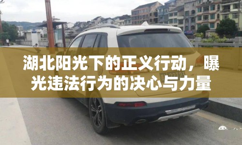 湖北陽(yáng)光下的正義行動(dòng)，曝光違法行為的決心與力量