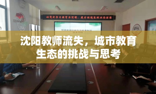 沈陽教師流失，城市教育生態(tài)的挑戰(zhàn)與思考