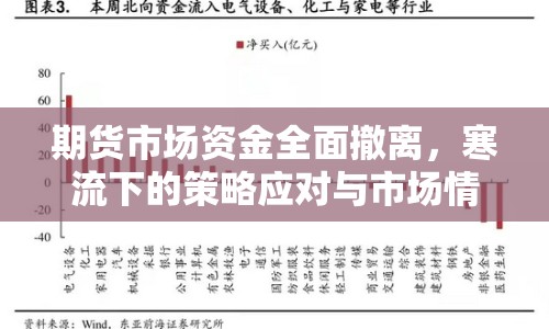 期貨市場(chǎng)資金全面撤離，寒流下的策略應(yīng)對(duì)與市場(chǎng)情緒分析