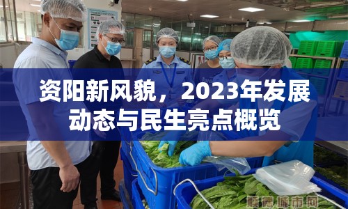資陽新風(fēng)貌，2023年發(fā)展動(dòng)態(tài)與民生亮點(diǎn)概覽