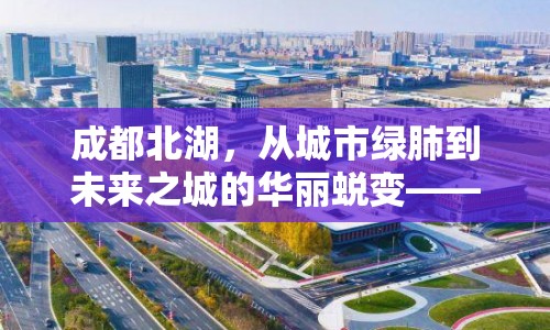 成都北湖，從城市綠肺到未來之城的華麗蛻變——最新改造進(jìn)展與未來展望
