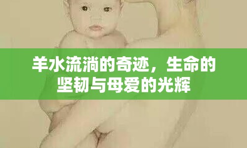 羊水流淌的奇跡，生命的堅(jiān)韌與母愛(ài)的光輝
