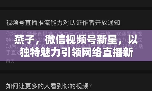 燕子，微信視頻號(hào)新星，以獨(dú)特魅力引領(lǐng)網(wǎng)絡(luò)直播新風(fēng)尚