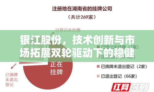 銀江股份，技術(shù)創(chuàng)新與市場(chǎng)拓展雙輪驅(qū)動(dòng)下的穩(wěn)健增長(zhǎng)新態(tài)勢(shì)