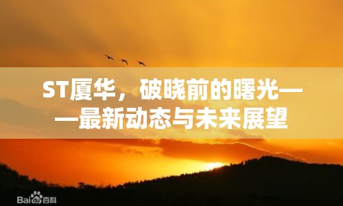ST廈華，破曉前的曙光——最新動(dòng)態(tài)與未來展望
