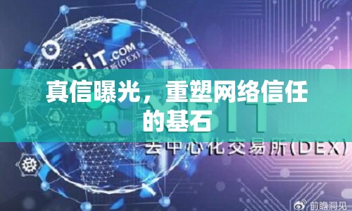 真信曝光，重塑網(wǎng)絡(luò)信任的基石