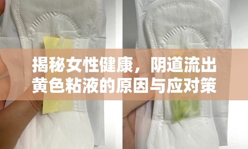 揭秘女性健康，陰道流出黃色粘液的原因與應(yīng)對策略