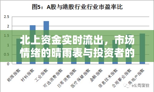 北上資金實(shí)時(shí)流出，市場情緒的晴雨表與投資者的警鐘
