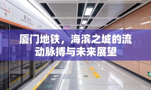 廈門地鐵，海濱之城的流動脈搏與未來展望