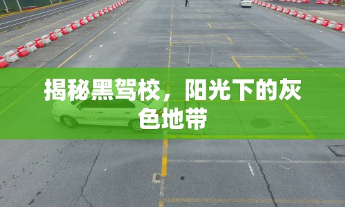 揭秘黑駕校，陽光下的灰色地帶