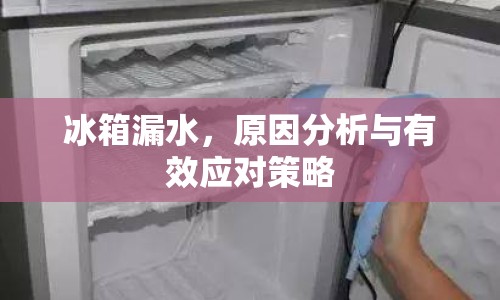 冰箱漏水，原因分析與有效應對策略