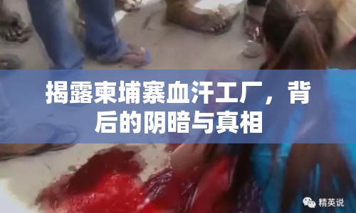 揭露柬埔寨血汗工廠，背后的陰暗與真相