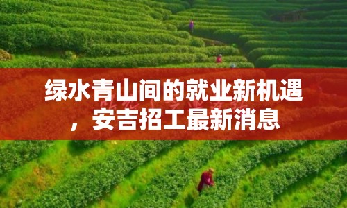 綠水青山間的就業(yè)新機(jī)遇，安吉招工最新消息
