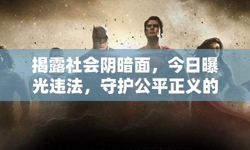 揭露社會陰暗面，今日曝光違法，守護(hù)公平正義的利劍