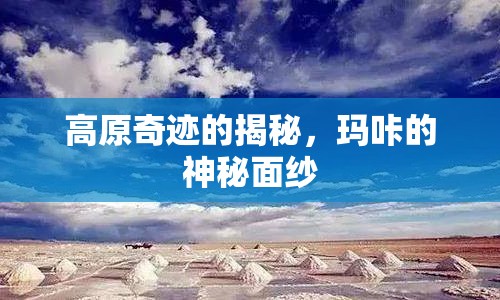 高原奇跡的揭秘，瑪咔的神秘面紗