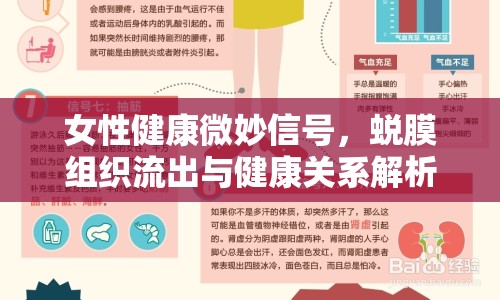 女性健康微妙信號，蛻膜組織流出與健康關系解析