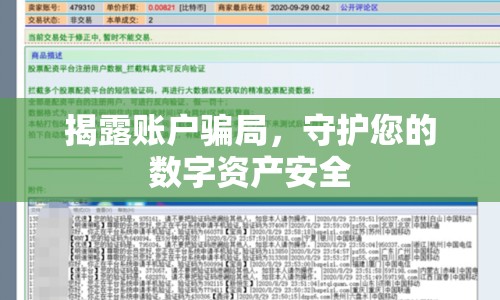 揭露賬戶騙局，守護您的數(shù)字資產(chǎn)安全