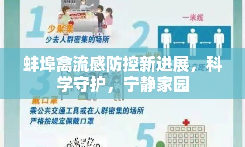 蚌埠禽流感防控新進(jìn)展，科學(xué)守護(hù)，寧靜家園