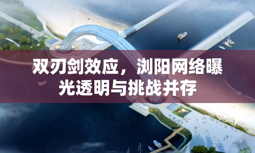 雙刃劍效應(yīng)，瀏陽(yáng)網(wǎng)絡(luò)曝光透明與挑戰(zhàn)并存