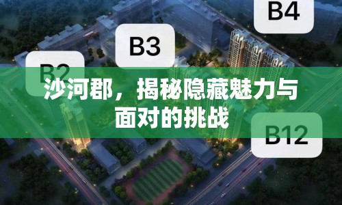 沙河郡，揭秘隱藏魅力與面對(duì)的挑戰(zhàn)