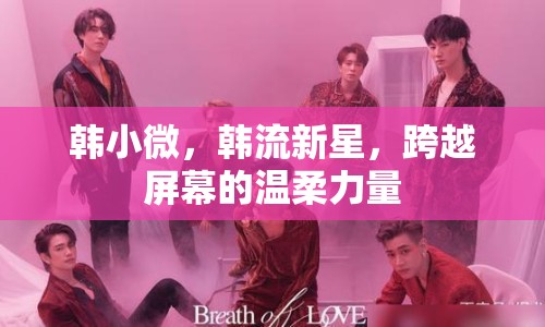 韓小微，韓流新星，跨越屏幕的溫柔力量