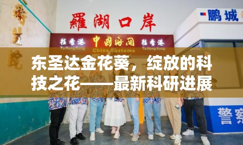 東圣達(dá)金花葵，綻放的科技之花——最新科研進(jìn)展與市場(chǎng)動(dòng)態(tài)深度解析