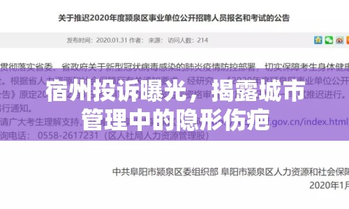 宿州投訴曝光，揭露城市管理中的隱形傷疤