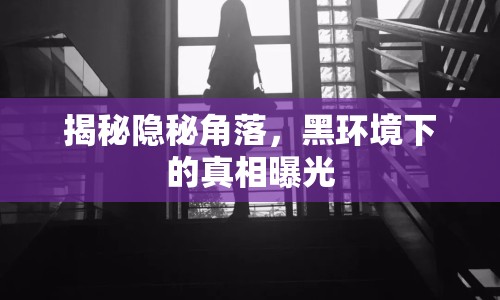 揭秘隱秘角落，黑環(huán)境下的真相曝光