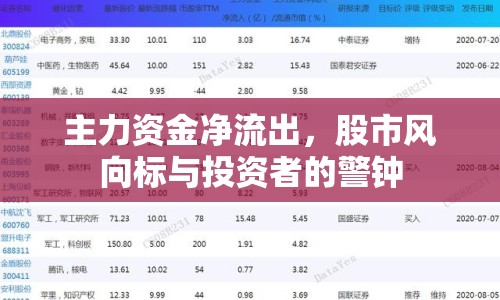 主力資金凈流出，股市風(fēng)向標(biāo)與投資者的警鐘