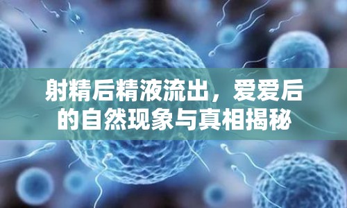 射精后精液流出，愛愛后的自然現(xiàn)象與真相揭秘