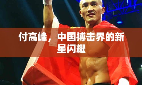付高峰，中國(guó)搏擊界的新星閃耀