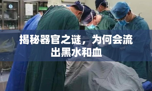 揭秘器官之謎，為何會流出黑水和血