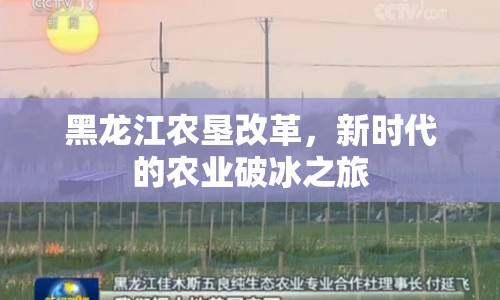 黑龍江農墾改革，新時代的農業(yè)破冰之旅