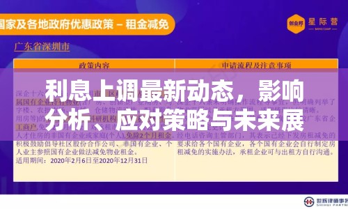 利息上調(diào)最新動態(tài)，影響分析、應(yīng)對策略與未來展望