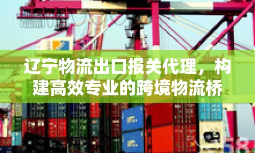 遼寧物流出口報(bào)關(guān)代理，構(gòu)建高效專(zhuān)業(yè)的跨境物流橋梁