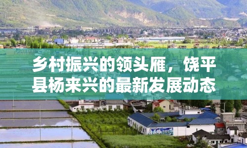 鄉(xiāng)村振興的領(lǐng)頭雁，饒平縣楊來(lái)興的最新發(fā)展動(dòng)態(tài)及其對(duì)鄉(xiāng)村振興的啟示