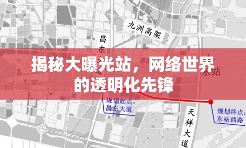 揭秘大曝光站，網(wǎng)絡世界的透明化先鋒