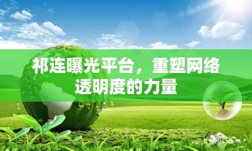 祁連曝光平臺，重塑網(wǎng)絡(luò)透明度的力量