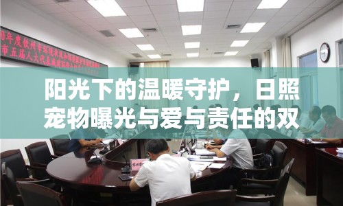 陽光下的溫暖守護，日照寵物曝光與愛與責任的雙重奏鳴