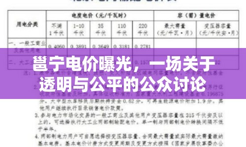 邕寧電價(jià)曝光，一場(chǎng)關(guān)于透明與公平的公眾討論