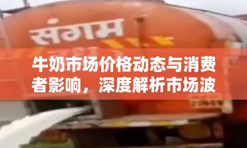 牛奶市場價格動態(tài)與消費者影響，深度解析市場波動