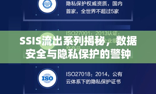 SSIS流出系列揭秘，數(shù)據(jù)安全與隱私保護(hù)的警鐘