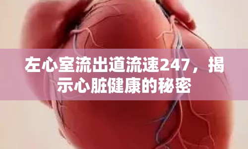 左心室流出道流速247，揭示心臟健康的秘密