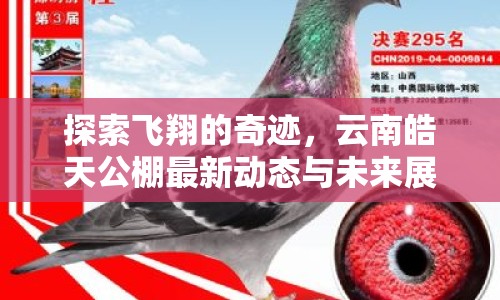 探索飛翔的奇跡，云南皓天公棚最新動(dòng)態(tài)與未來展望