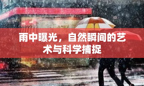 雨中曝光，自然瞬間的藝術(shù)與科學(xué)捕捉