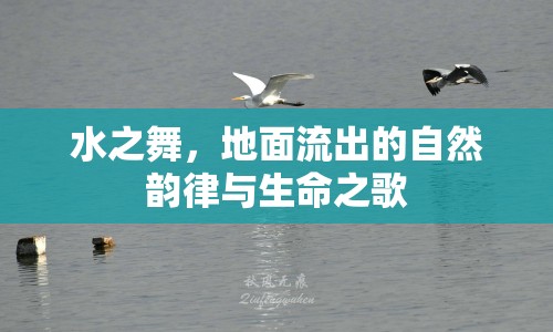 水之舞，地面流出的自然韻律與生命之歌