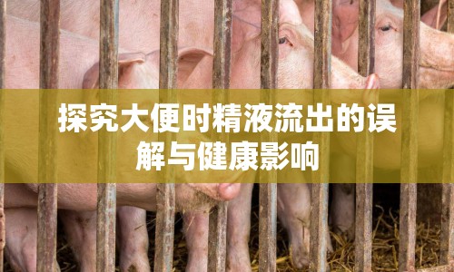 探究大便時精液流出的誤解與健康影響