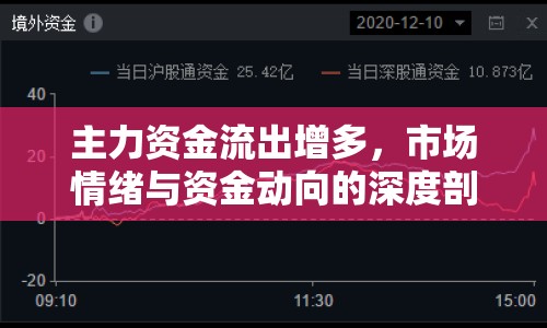 主力資金流出增多，市場情緒與資金動向的深度剖析